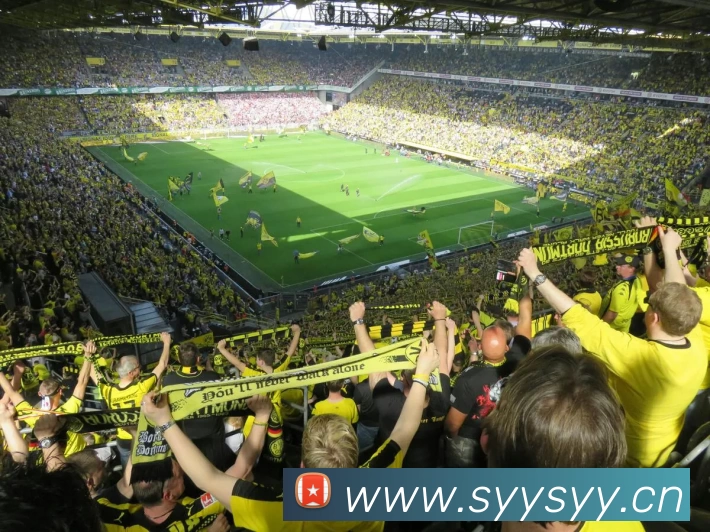 乐动手机官方网站 - 乐动(中国)APP 封面图